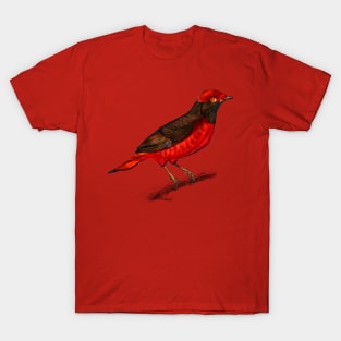 Vintage guianan red cotinga bird-animalia T-Shirt